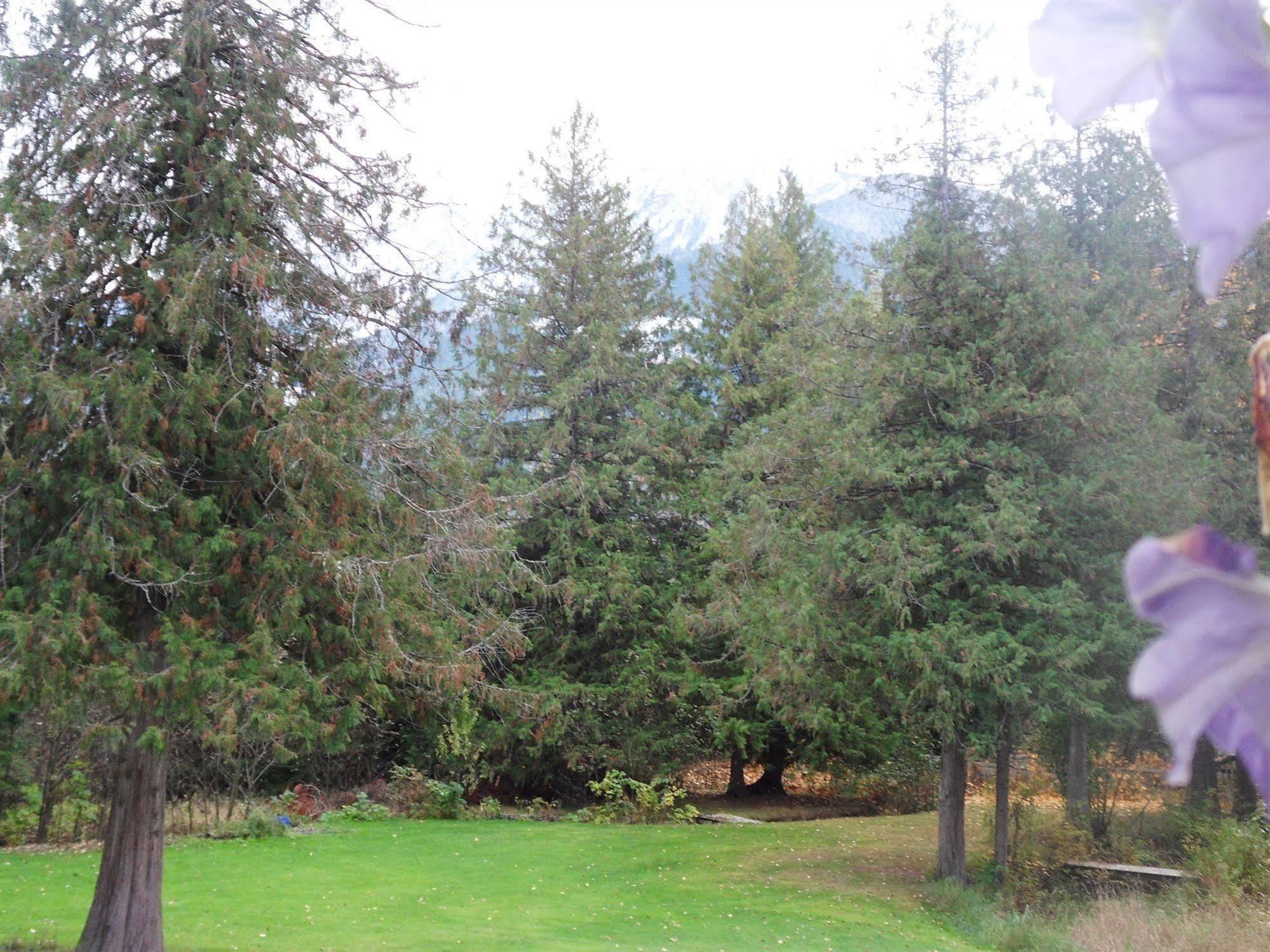 The Hitching Post Motel Pemberton Exterior foto